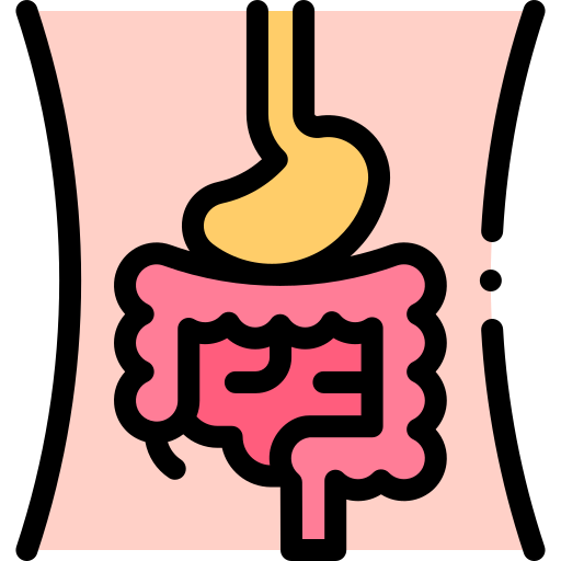 Digestive System Icon