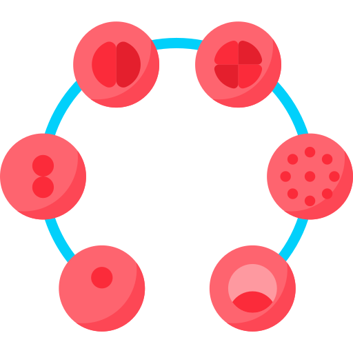 Cell Cycle icon