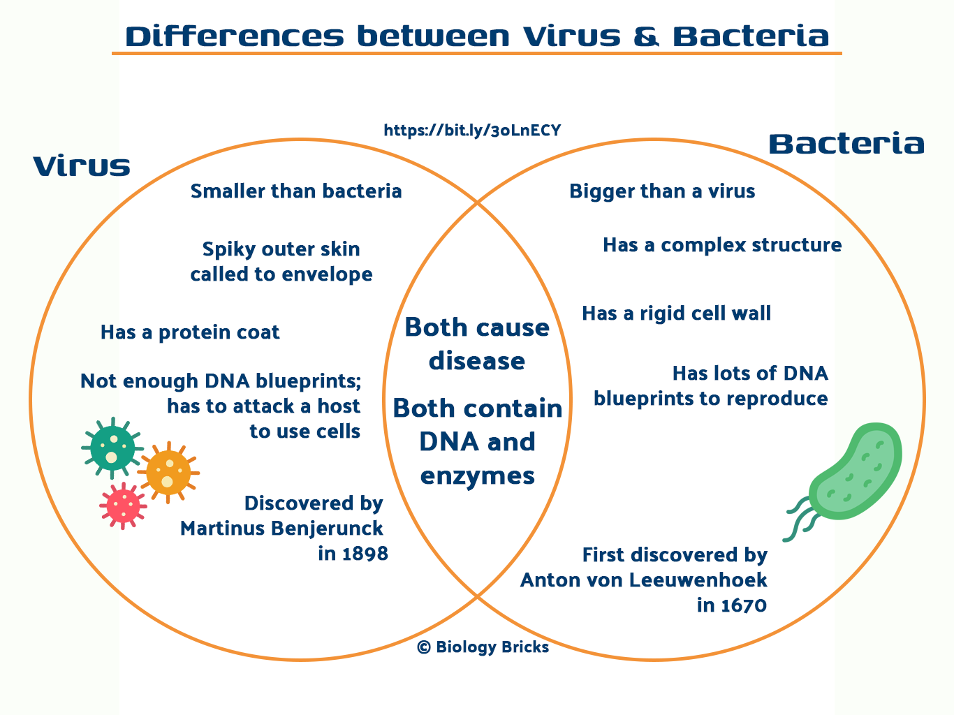 Bacteria Vs Viruses The Fight Off Between Bacteria And Viruses Showing The Main Differences 