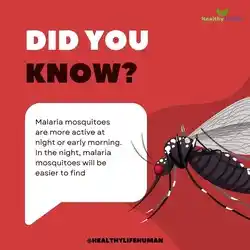 Did you know of Malaria