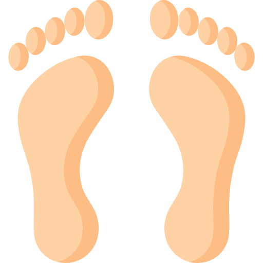 Feet icon