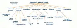 image showing types of genetic disorders