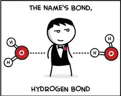 image showing a joke made about hydrogen bond being James Bond