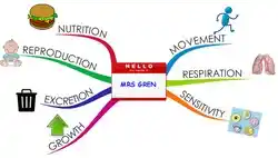 MRSGREN - the seven components.