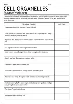 Worksheet on organelles.