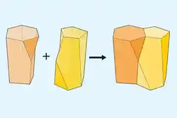 A new geometrical shape called scutoid, where cells are packed together.