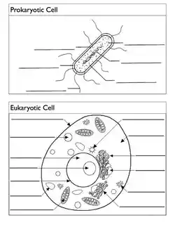 Unlabelled diagrams to label