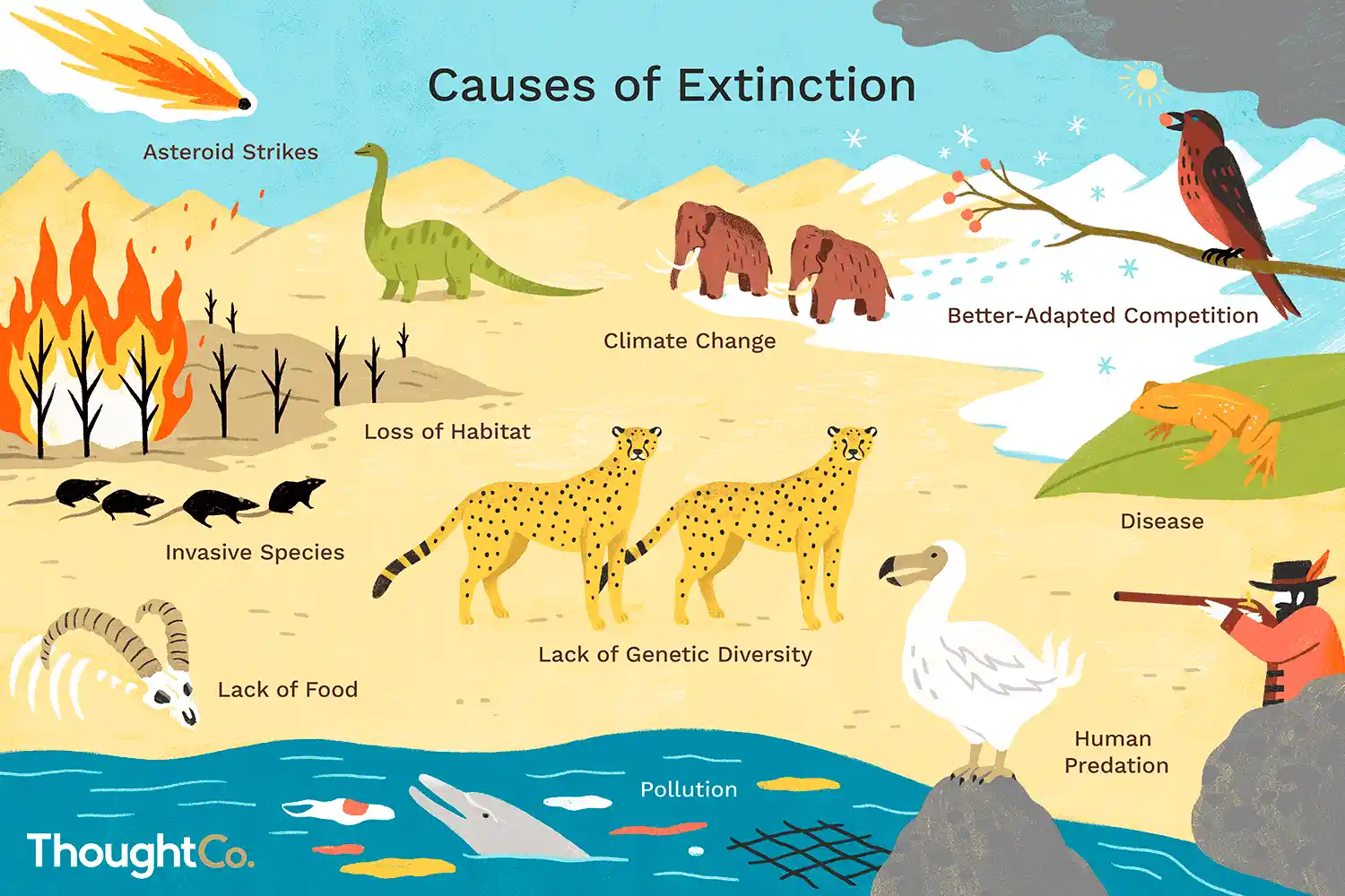 Causes of extinction