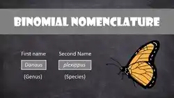 Still from YouTube videographer Sci-ology of binomial nomenclature