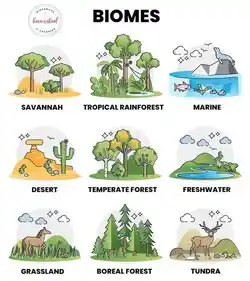 Different biomes on the planet.