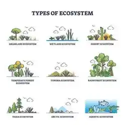 Types of ecosystem.