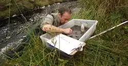 image of fishing sampling using a box