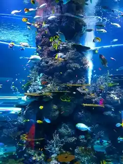 example of an underwater ecosystem