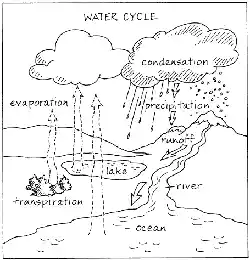 image of the water cycle that can be coloured