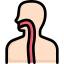 Oesophagus icon