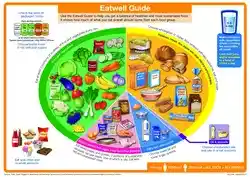 The Eatwell Guide, foods from sources that provide us nutrition