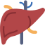 liver icon