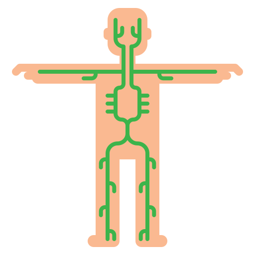 Lymphatic System icon