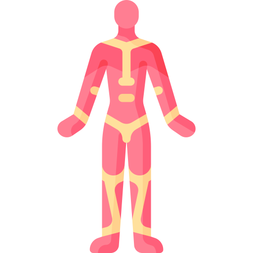 Muscular System icon