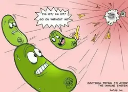 Funny image showing how the immune system fight off bacteria