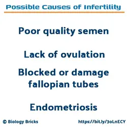 Reasons for infertility