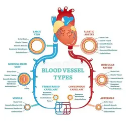 Vessel types shown on a sankey diagram