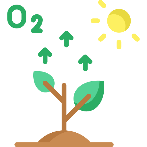 Photosynthesis icon