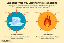 Basic example of endothermic and exothermic reaction