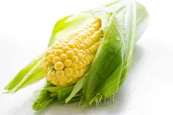 Maize, a product that has seen a lot of modification over the years.