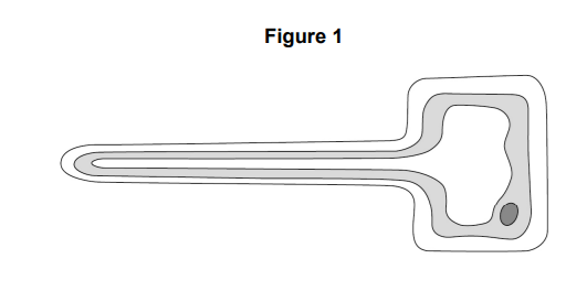 Figure 1 shows a plant cell that needs identifying.