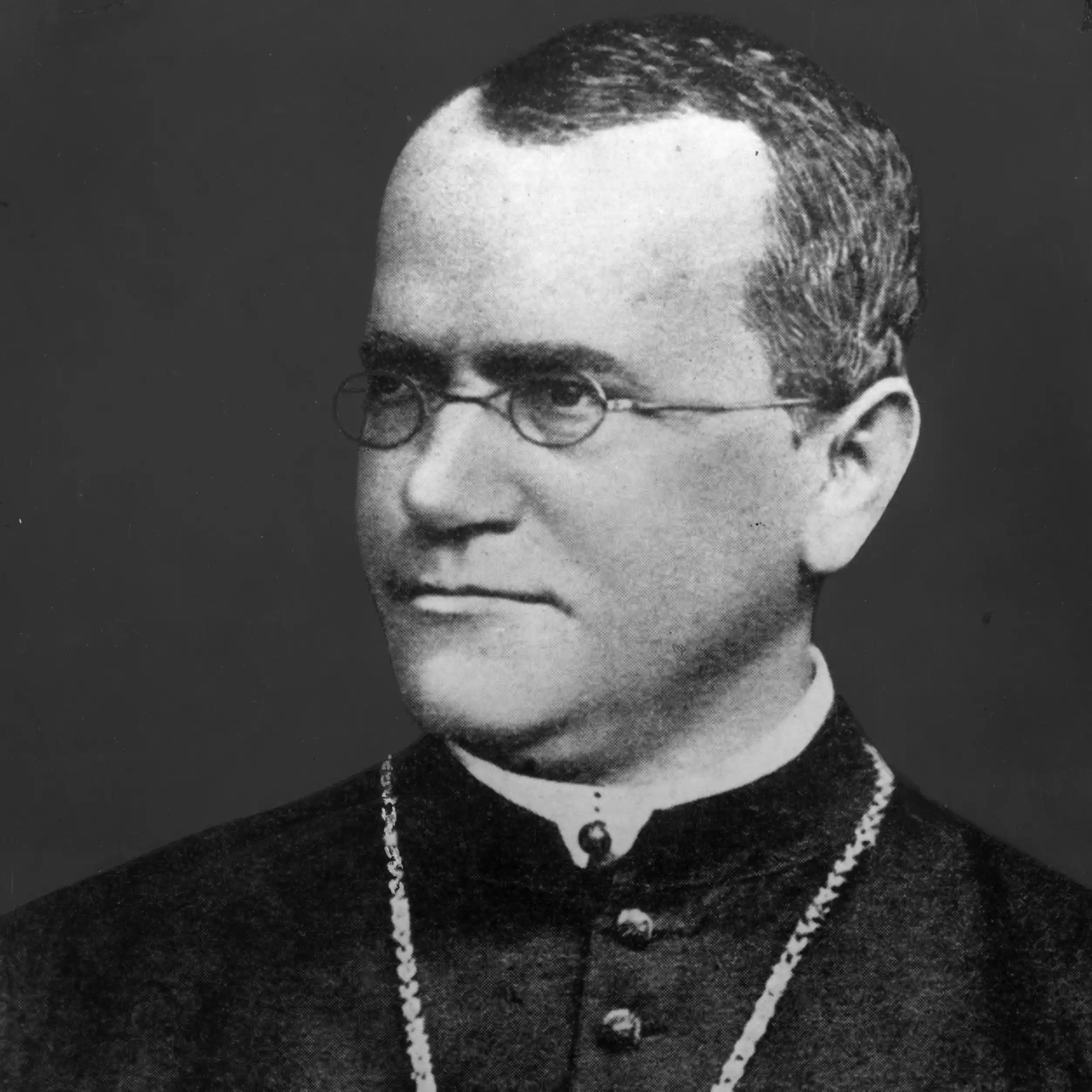 Gregor Mendel