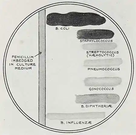 A typical experiment undertaken by Fleming