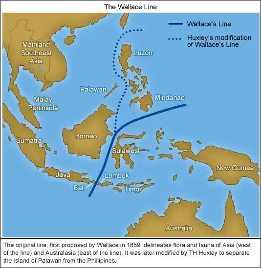 The Wallace Line, showing where species are different.