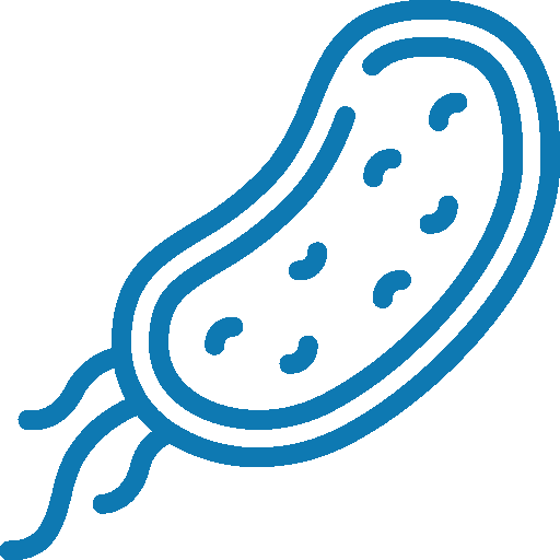 Prokaryotic icon