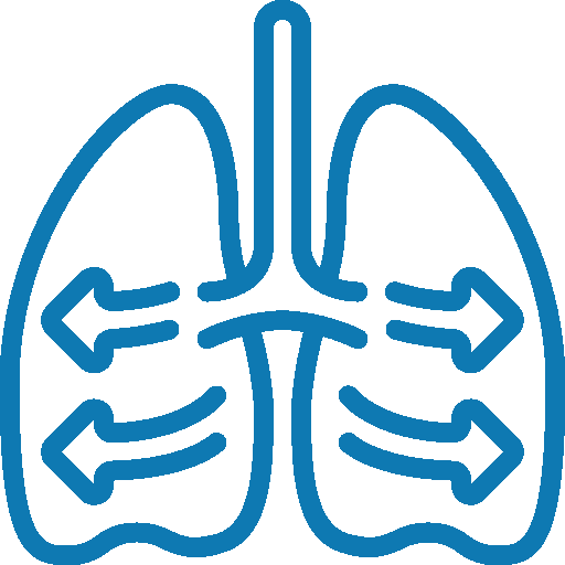 Lungs icon