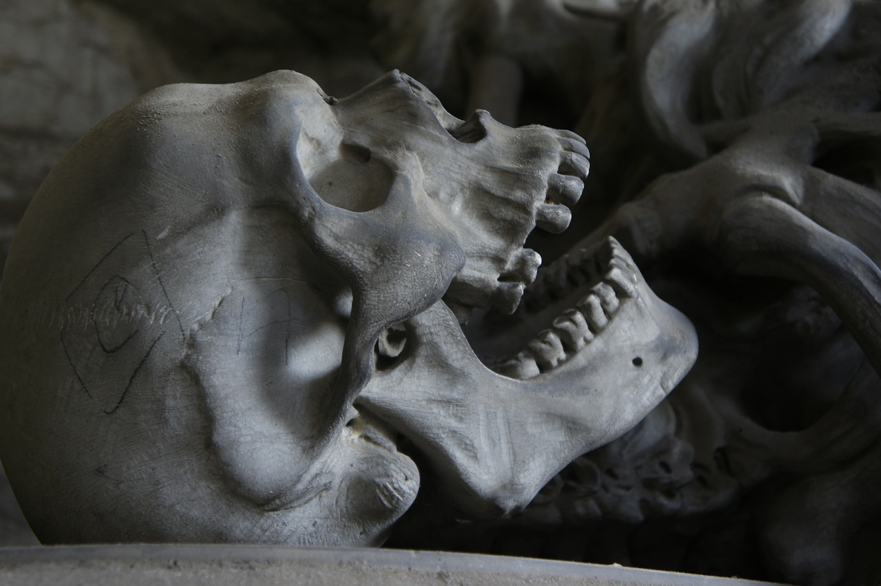 A closeup of a skull in a grave.