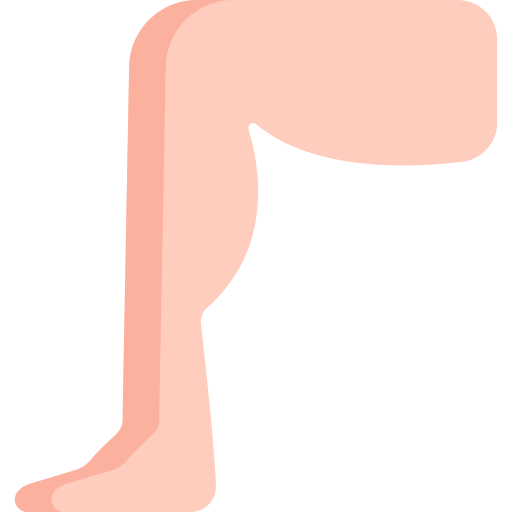 Leg icon