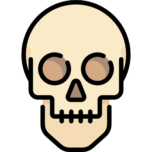 Skull icon