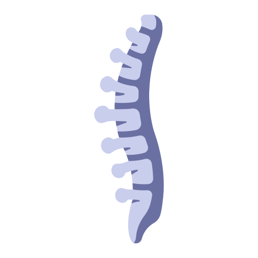 Spine icon