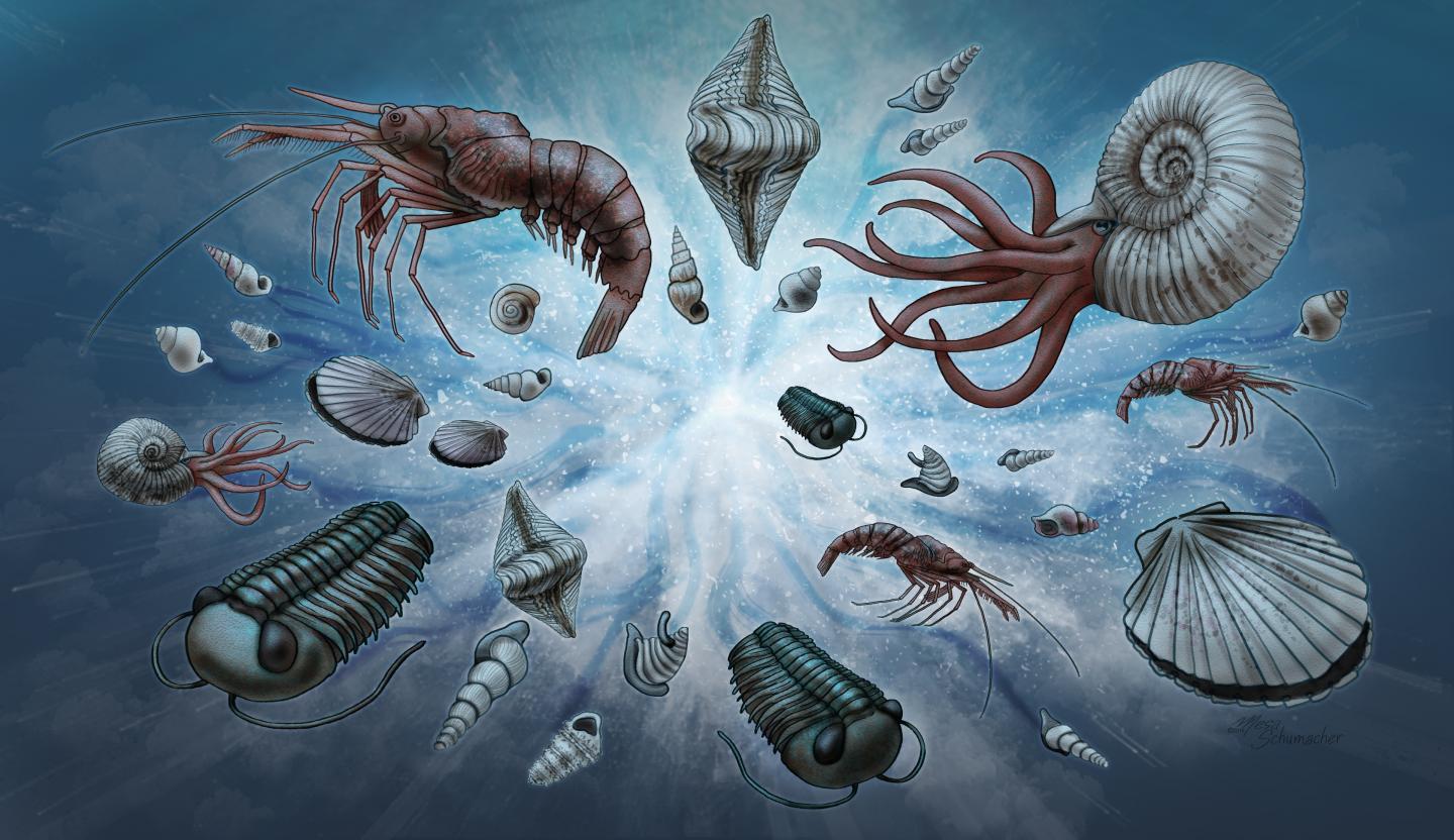 An explosion of creatures formed in the Cambrian era.