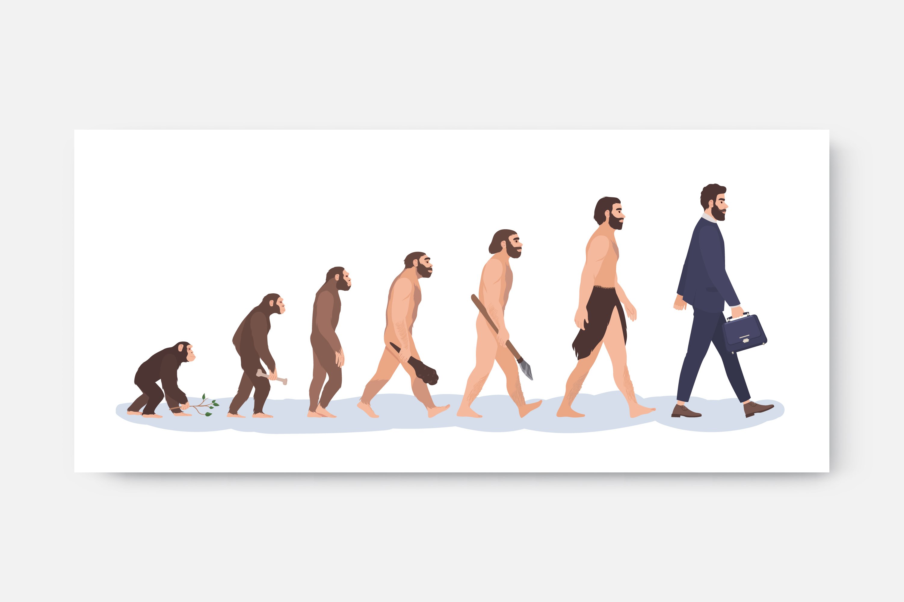 The evolution of humans, from apes to our current stage.