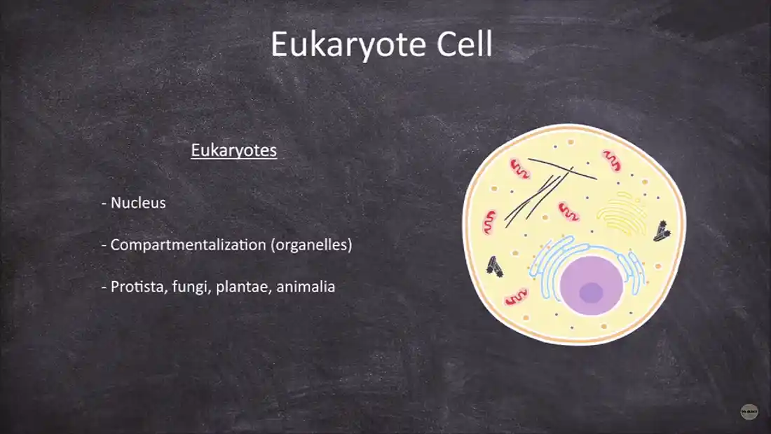 Watch this video from Sci-ology on YouTube