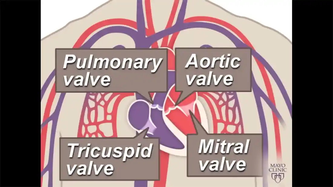 Watch this video from Mayo Clinic on YouTube