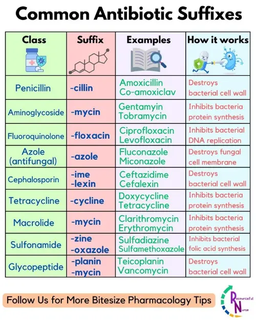 Antibiotics summary