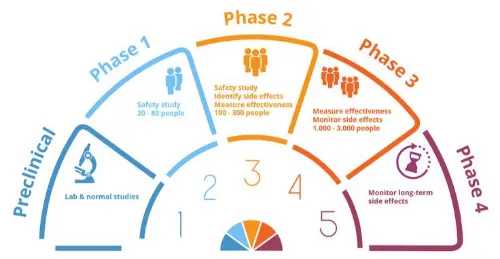 Phases of cilnical trials