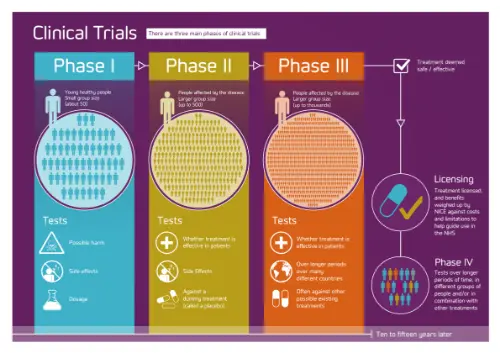 Drugs trialling stages