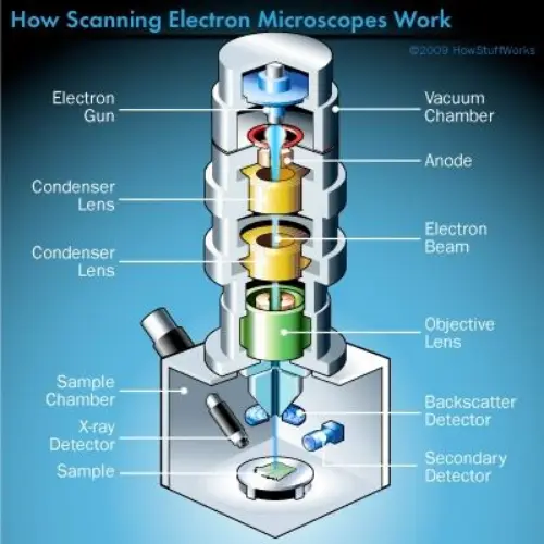 Electron microscope