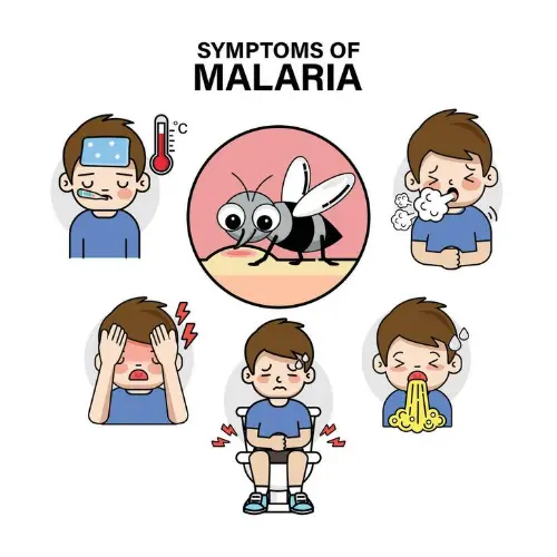 Symptoms of malaria