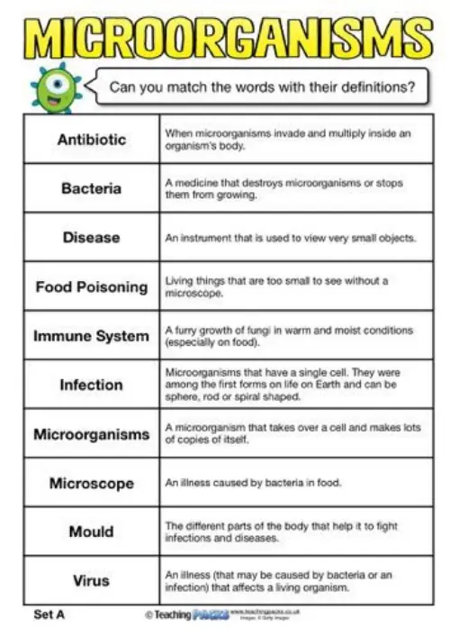 Types of microorganisms worksheet