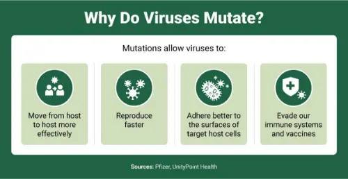 How mutations happen